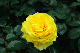 image0191