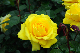 image0192