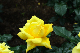 image0193