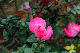 image0194