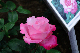 image0200