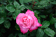 image0202