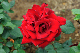 image0203