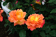 image0208