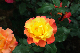 image0210