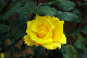 image0212