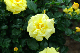 image0214