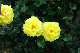 image0215