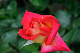 image0216