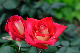 image0217
