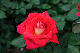image0218