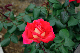 image0219