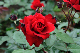 image0220