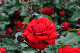 image0221