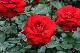 image0222
