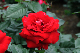 image0223