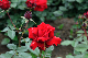 image0224