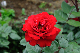 image0225