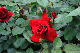 image0226