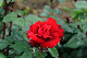 image0227