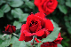 image0228
