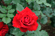 image0230