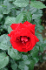 image0231
