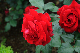 image0232