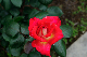 image0234