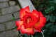 image0236