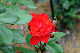 image0238