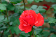 image0240