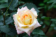 image0241