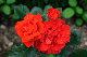image0243