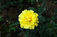 image0246