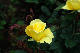 image0247