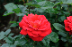 image0252