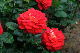 image0253