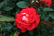 image0254