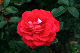 image0257