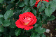 image0259