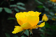 image0263