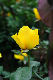 image0264