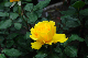 image0265