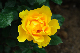 image0266