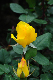 image0267