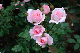 image0269