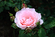 image0270