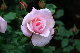 image0272