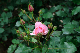 image0273